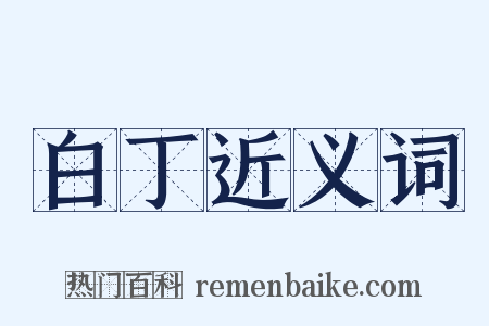 白丁近义词是什么意思的图片